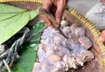 Mengenal Kotok Bongkok Makanan Khas Lebak Banten