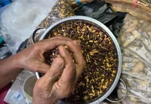 Godril, Camilan Dari Biji Buah Trembesi