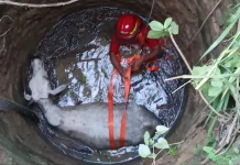Sapi Hilang Semalaman di Rembang, Ternyata Terjebak dalam Sumur Tua