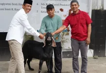 Kurban Bersama di Pemkot Salatiga, Ratusan PPPK Paruh Waktu Jadi Penerima Manfaat