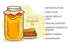 Apa itu Teh Kombucha?