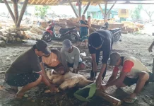 Perhutani Purwodadi Bagikan Daging Kurban untuk Masyarakat Sekitar Hutan