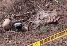 Penemuan Tengkorak di Hutan Sukorejo Gegerkan Warga