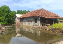 Ratusan Rumah dan Puluhan Hektar Lahan di Dusun Pilangsari Kendal Terdampak Rob