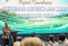 Cegah Alih Fungsi, Jateng Kejar 970 Ribu Hektare Sawah Dilindungi