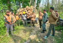 Terapkan Zero Fraud, Perhutani Purwodadi Perketat Pengawasan Produksi Kayu