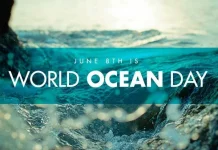 Peringatan Hari Laut Sedunia Serukan Aksi Nyata Lindungi Ekosistem Biru