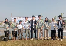 Tanam Mangrove, Upaya Undip Batang Lindungi Kawasan Pesisir Denasri Kulon