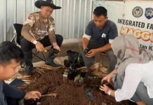 Lapas Semarang Kembangkan Ratusan Bibit Sayuran dan Hortikultura