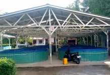 Purworejo Kembangkan Budidaya Bioflok, Panen Lele Capai 4 Ton per Siklus