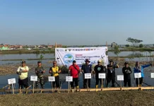 Hari Lingkungan Hidup Sedunia, BPI Siapkan Puluhan Ribu Bibit Mangrove