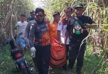 Ladang Tebu Terbakar, Petani Lansia di Kudus Ditemukan Meninggal