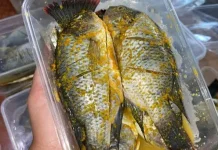 Bumbu Marinasi untuk Ikan Mujahir agar Lebih Gurih
