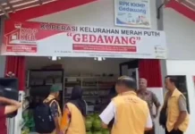 Koperasi Merah Putih Gedawang Terus Berkembang di Tengah Keterbatasan Modal
