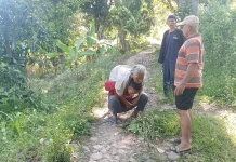 Wanita Lansia yang Sempat Hilang Ditemukan Selamat di Hutan