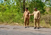 Jateng Genjot Pembangunan Jalan Penghubung Wonogiri-Jatim dan DIY Tahun Ini