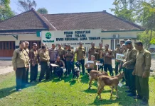 Berprestasi, Para Mandor Tanam Dihadiahi Kambing dari Perhutani