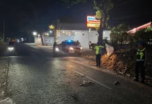 Truk Terguling Tewaskan 2 Pengendara