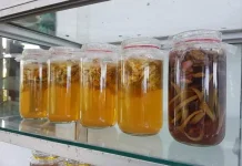 Pengamat Lingkungan: Eco Enzyme Efektif Kurangi Polutan Drainase
