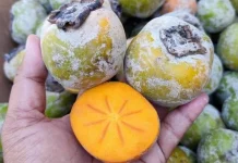 Cara Memilih Buah Kesemek yang Matang dan Manis