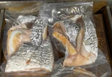 Rahasia Mengolah Kakap Putih Fillet agar Tidak Amis