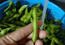 Tips Mencuci Edamame agar Bersih dan Tetap Segar