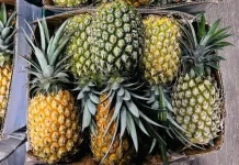 Tips Memilih Buah Nanas Madu yang Manis Segar