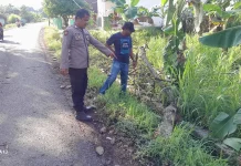 Berangkat Kerja, Buruh Pabrik di Rembang Tewas Tertimpa Dahan Pohon