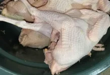 Tips Memilih 1 Ekor Ayam Mentah di Pasar