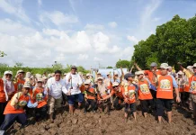 PLN Icon Plus Dorong Pelestarian Pesisir melalui Program Satu Mangrove