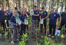 Employee Volunteering, BPJSTK Semarang Pemuda Tanam Mangrove di Pantai Tirang