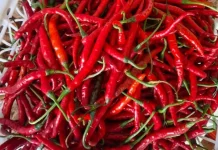 Tips Memilih Lombok Merah Segar Berkualitas