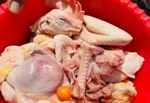 Apa Saja Bagian dari 1 Ekor Ayam Potong?