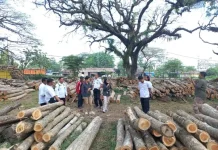 Wujudkan Akuntabilitas, BPHL Wilayah VIII Audit Dokumen Produksi KPH Purwodadi