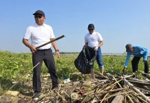 Wujud Kepedulian Lingkungan, Bandara Ahmad Yani Bersih kanPantai Mangrove