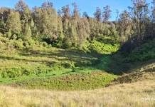 Sungai Qolbu Argopuro, Bukan Sekadar Sumber Mata Air