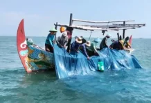 Ekspor Ikan Teri Nasi Binaan Undip Perkuat Ekonomi Warga Pesisir