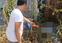 Polisi Selidiki Penemuan Jenazah Lansia di Semak Desa Sidoharjo Pati