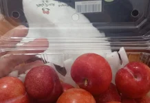 Jaga Kekebalan Tubuh lewat Kelezatan Alami Buah Plum
