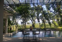 Menepi Sejenak ke Kafe Hijau, Cara Sederhana Isi Ulang Energi