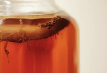 Kombucha, Minuman Fermentasi untuk Gaya Hidup Sehat