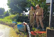 Inovasi Listrik Masuk Sawah Dongkrak Produktivitas Petani di Purworejo