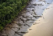 Walhi Jateng: Giant Sea Wall Bukan Satu-satunya Solusi Atasi Persoalan Pesisir