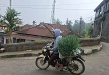 Kesejahteraan Meningkat, Nilai Tukar Petani di Jateng Capai 118,27