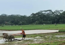 Regenerasi Jadi Tantangan, Pemkot Pekalongan Dorong Peran Duta Petani Milenial