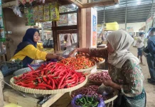 MBG Libur, Harga Kebutuhan Pokok di Pekalongan Mulai Turun