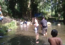 Isi Libur Sekolah, Remaja Tengaran Tebar Ribuan Bibit Ikan di Sungai Serang