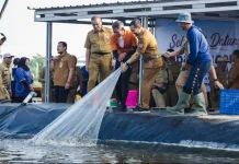 Berkat Rekayasa Teknologi, Jateng Berhasil Panen Udang 1,3 Ton di Kawasan Industri