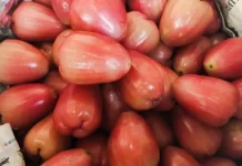 Cara Menyimpan Jambu Delima agar Segar Lebih Lama
