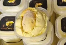 Peluang Usaha Es Serut Durian dalam Kemasan Thinwall